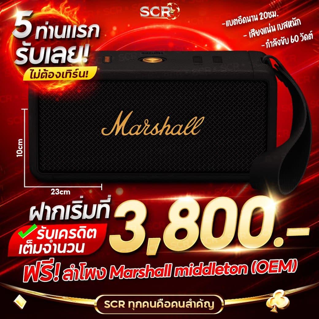 ปั้มสปิน Coin Master บนมือถือ สร้างรายได้ง่ายๆ 2025